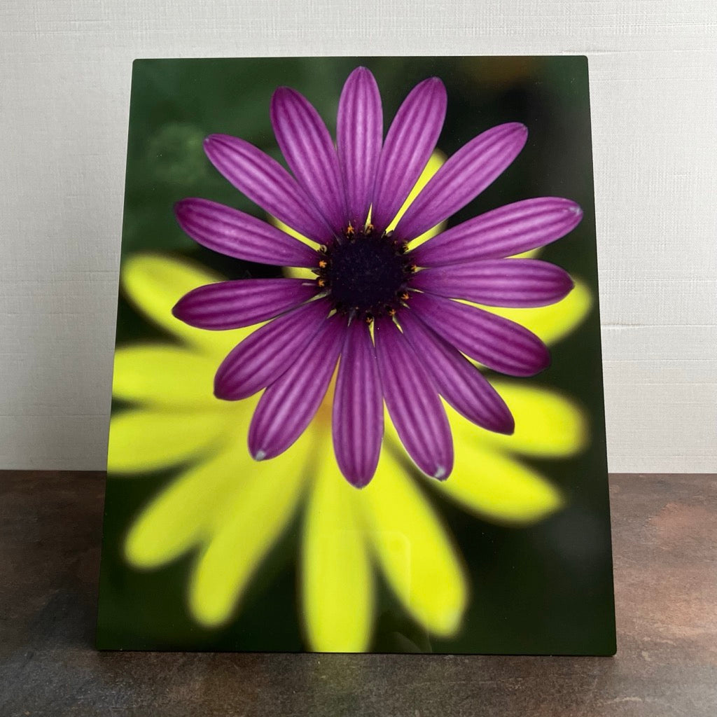 Purple Flower in Metal by Wendy Petera