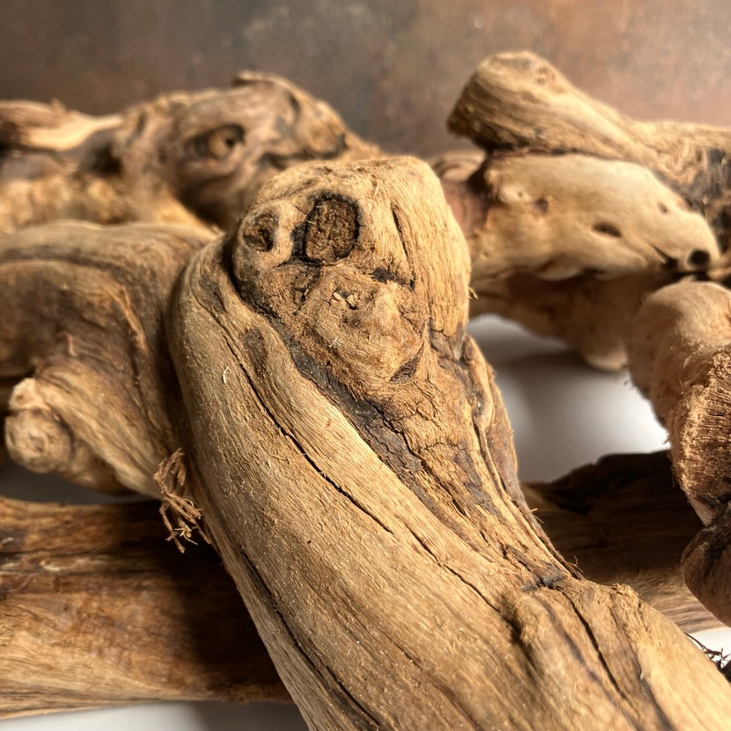 Tumbled Grapewood Pieces by Forever Green Art