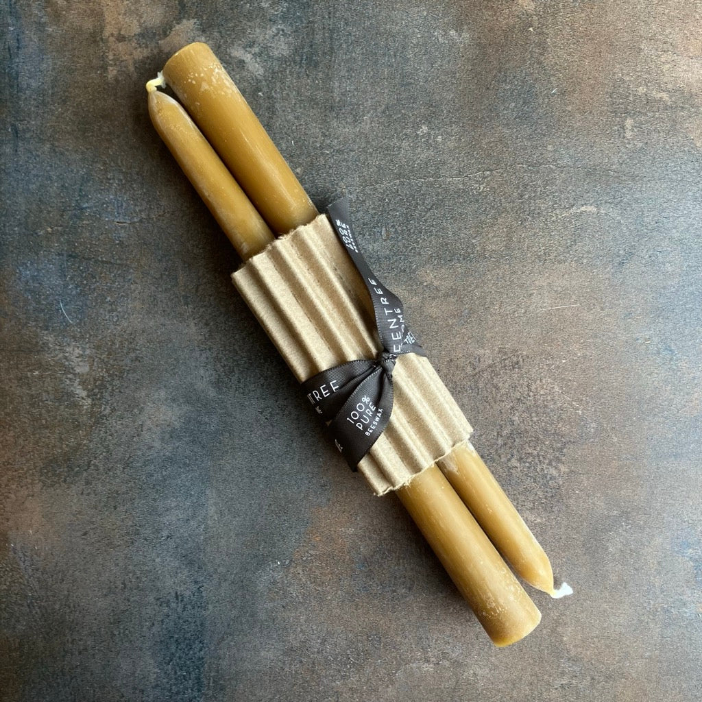 10" Taper Candles in Burnt Amber by Greentree Home Candle
