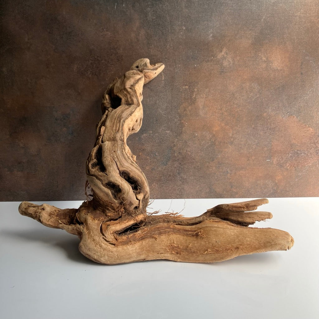 Tumbled Grapewood Pieces by Forever Green Art