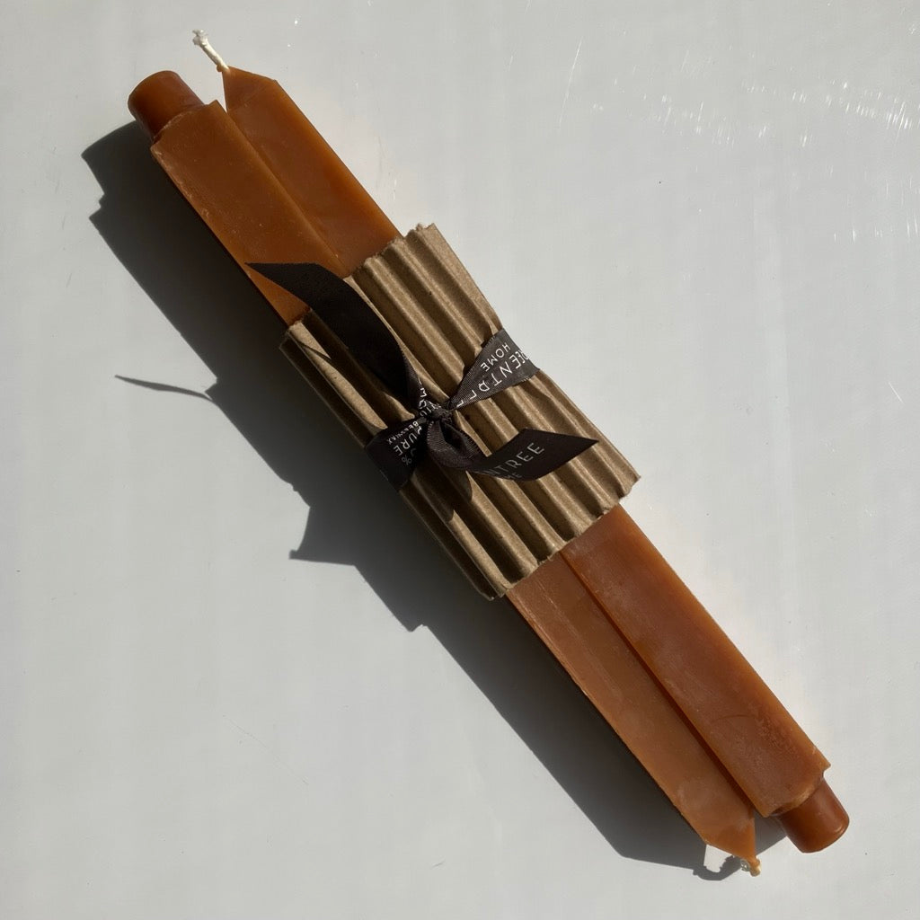 12" Square Taper Candles by Greentree Home Candle