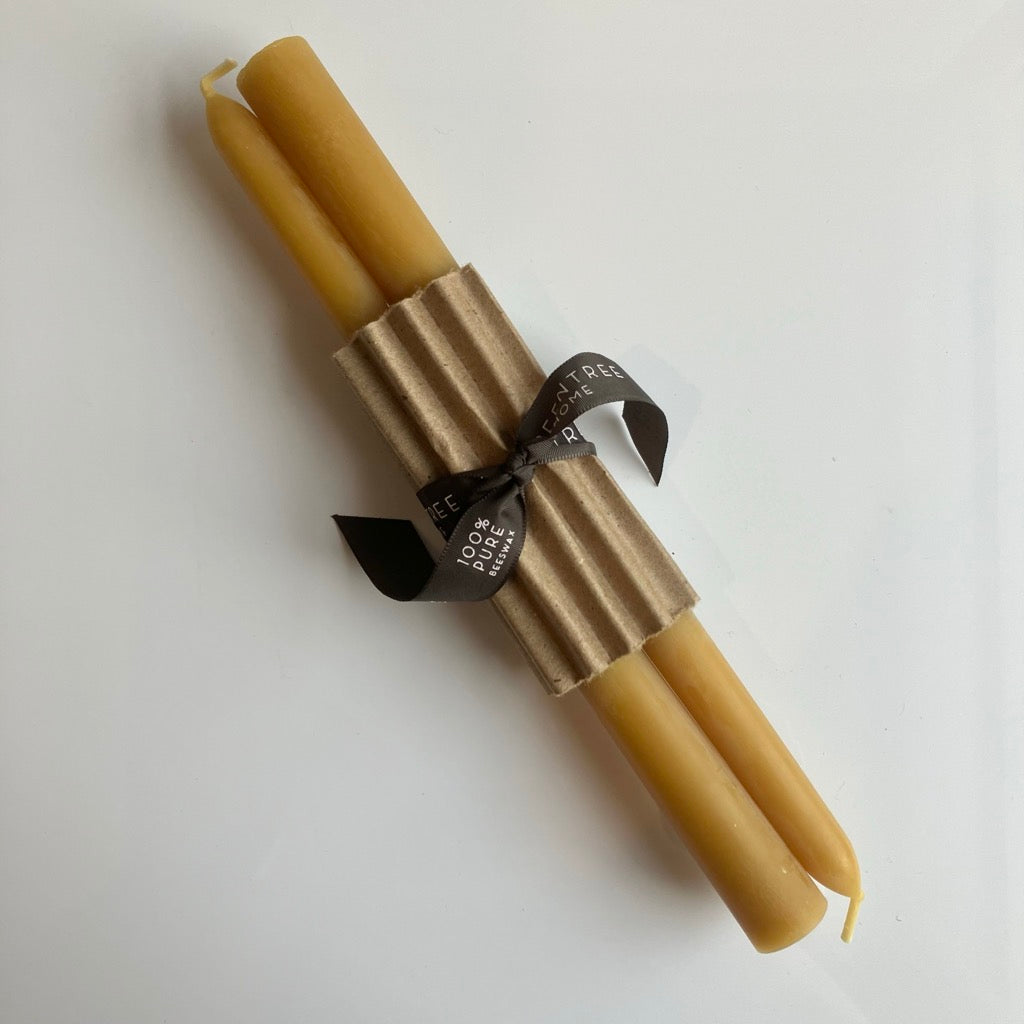 10" Taper Candles in Natural by Greentree Home Candle