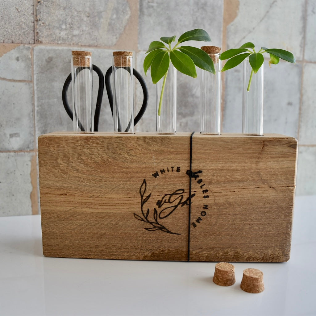 Wood Plant Propagation Stand by White Gables Home