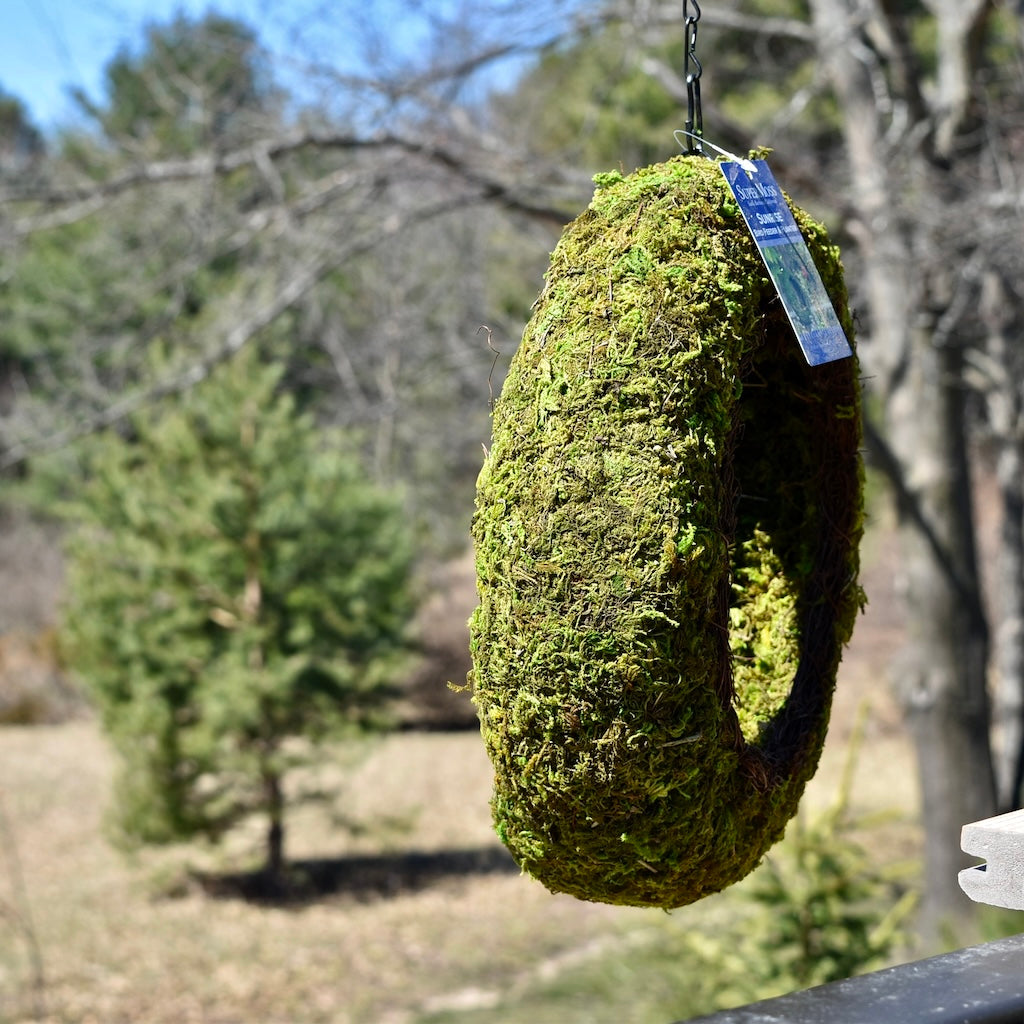 Bird Feeder with Wicker Rim for Bird Seed or Planting