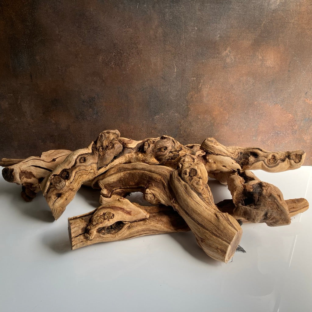 Tumbled Grapewood Pieces by Forever Green Art