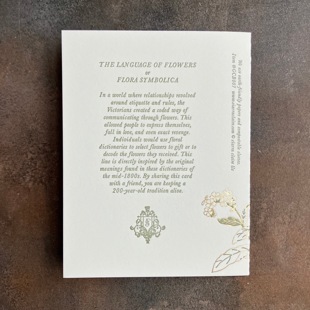 Forget-Me-Not - Language of Flowers Greeting Card By Ciarra Claire