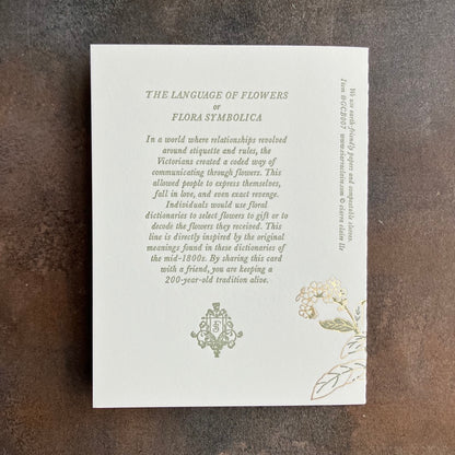 Forget-Me-Not - Language of Flowers Greeting Card By Ciarra Claire