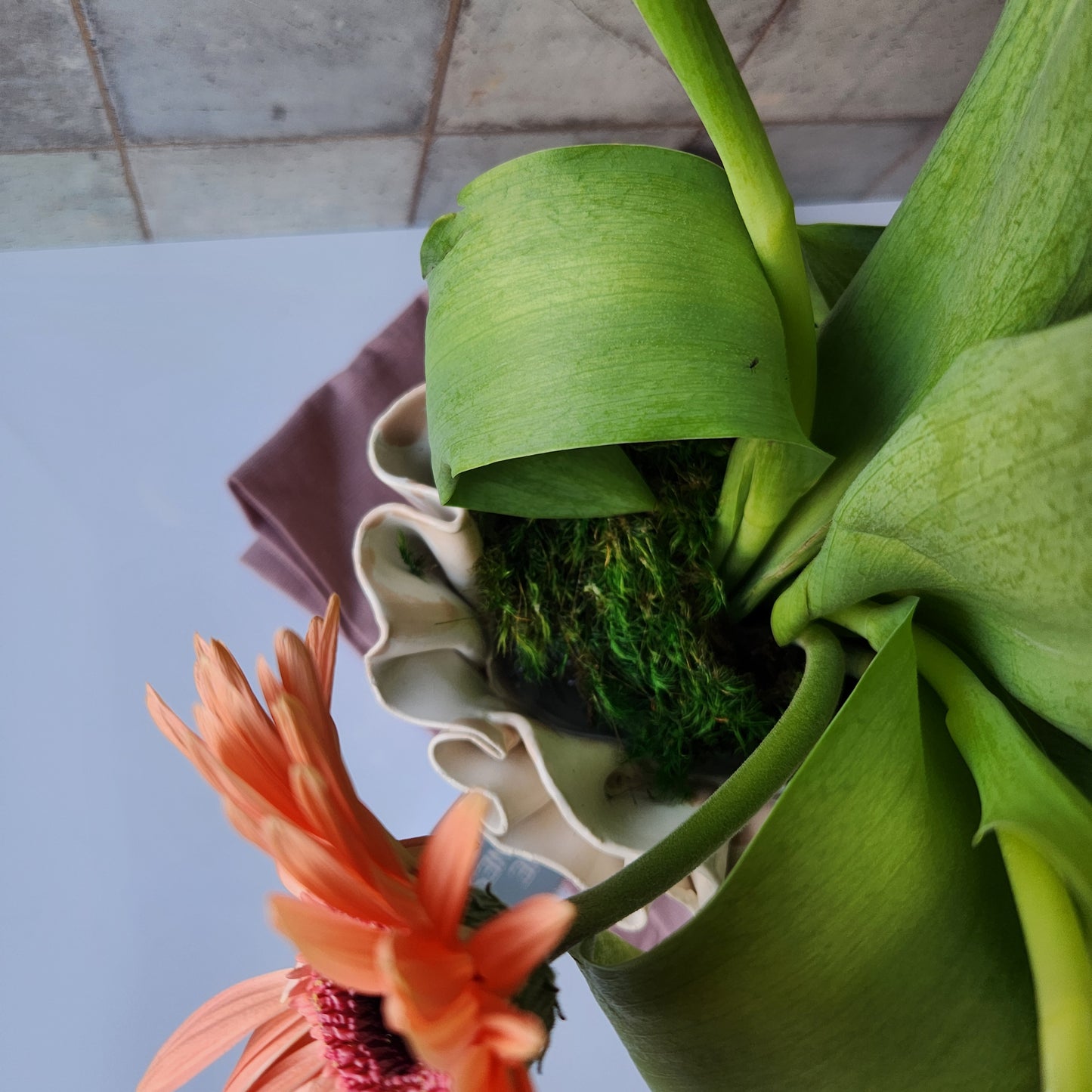 Peplum Paige Vase by Reese Emry