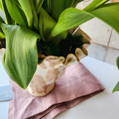 Peplum Paige Vase by Reese Emry