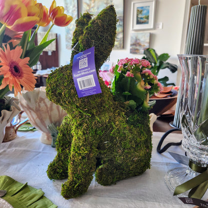 Bunny Planter