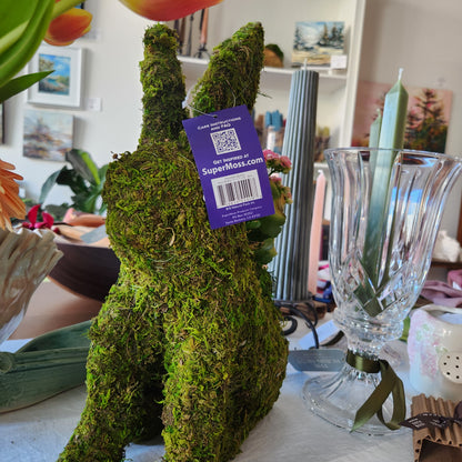 Bunny Planter
