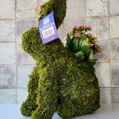 Bunny Planter