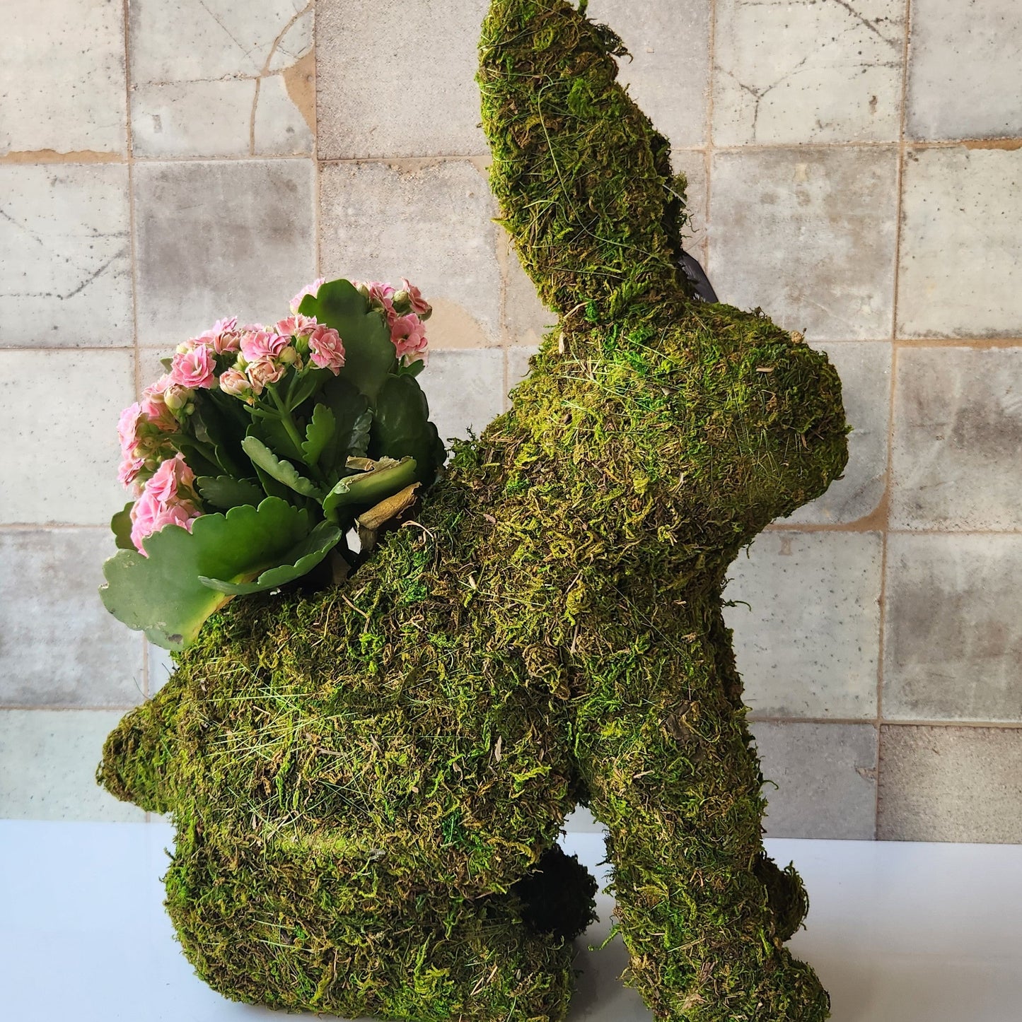 Bunny Planter