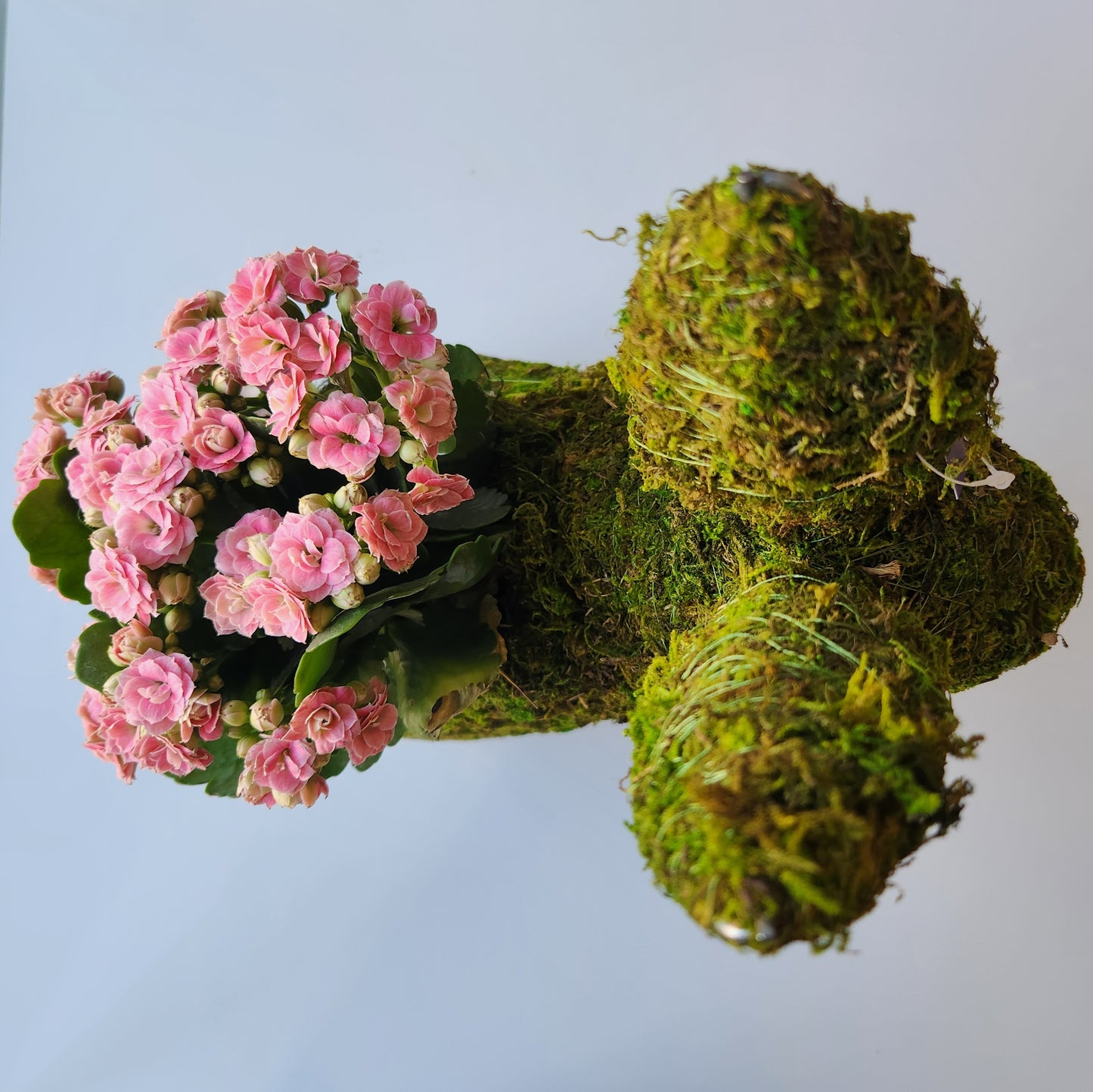 Bunny Planter