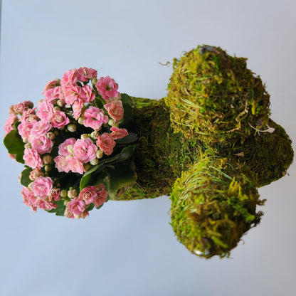 Bunny Planter