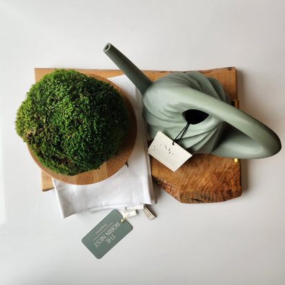 Small Swirl Watering Can by Modernized Pottery