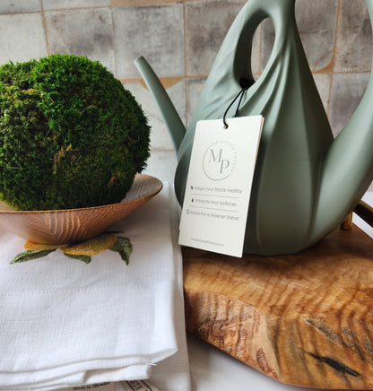 Small Swirl Watering Can by Modernized Pottery