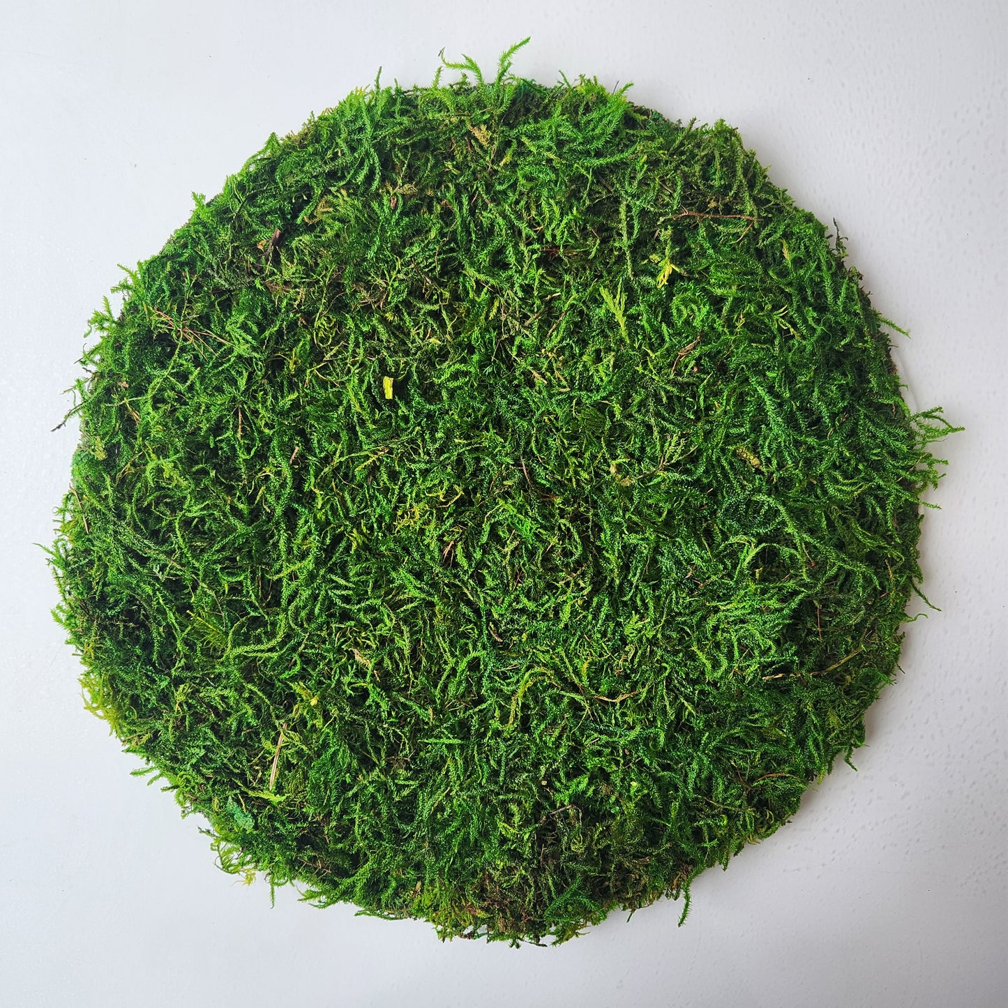 Mossy Forest Table Setting