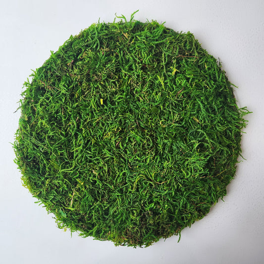 Mossy Forest Table Setting