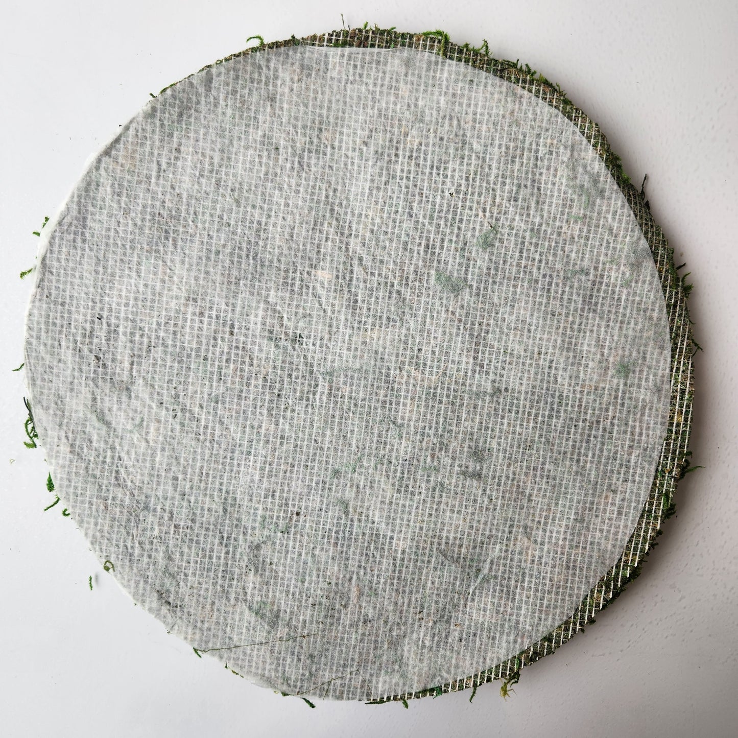 Mossy Forest Table Setting
