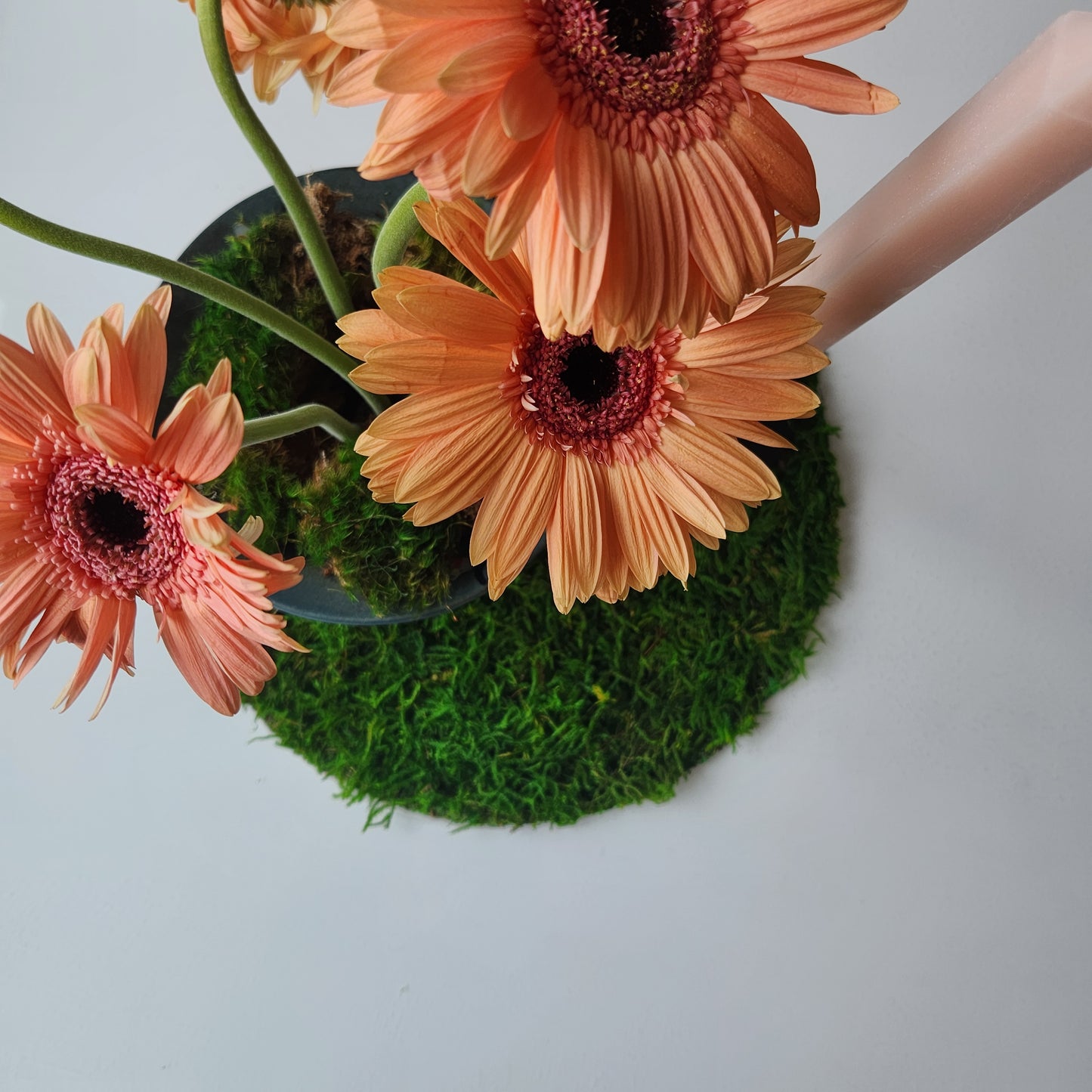 Mossy Forest Table Setting