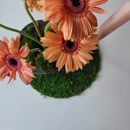 Mossy Forest Table Setting