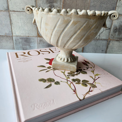 Footed Bowl with Handles in Cream by Rene Stratton