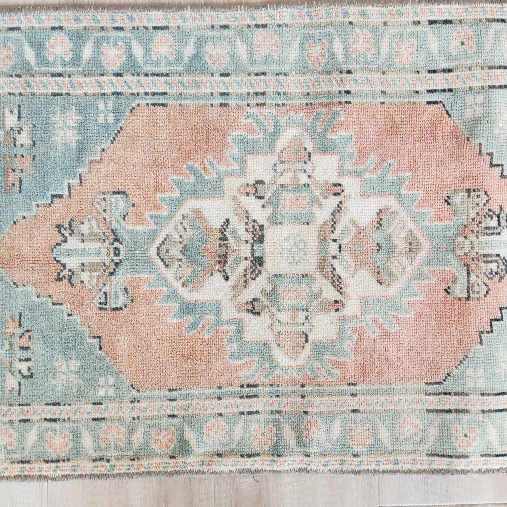 Vintage Hand Knotted Rug in Salmon and Turquoise by Tara Dennis Design