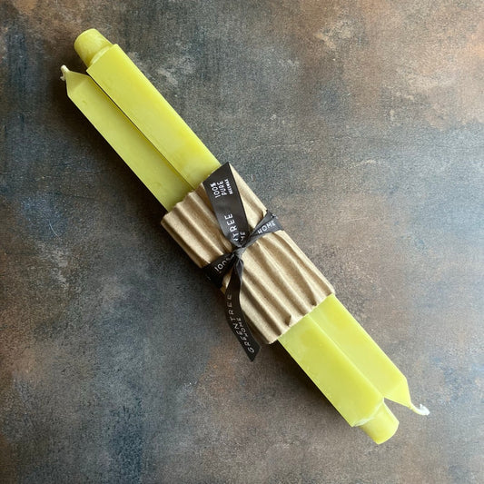 12" Square Taper Candles in Bamboo by Greentree Home Candle