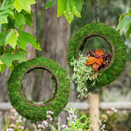 Bird Feeder with Wicker Rim for Bird Seed or Planting