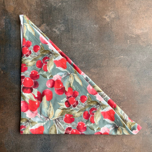 Dog Bandana in Red Cherry by Glass Muriel
