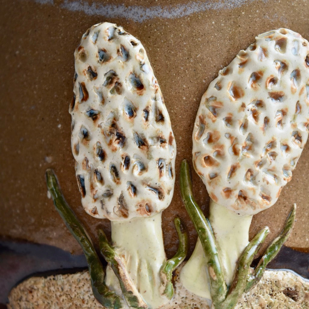 Brown Morel Basket by Jan Toscano