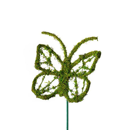 Monarch Moss Pick