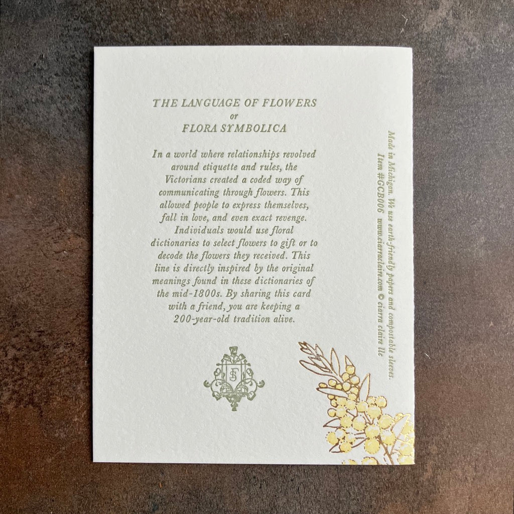 Acacia - Language of Flowers Greeting Card by Ciarra Claire
