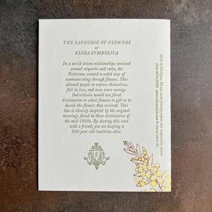 Acacia - Language of Flowers Greeting Card by Ciarra Claire