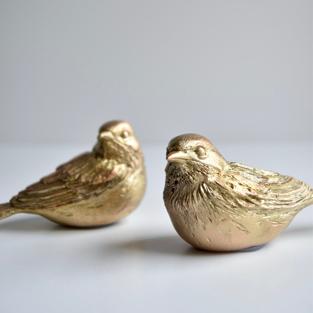 Kirtland Warbler Salt & Pepper Server by Michael Michaud