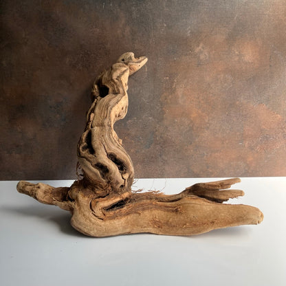 Tumbled Grapewood Pieces by Forever Green Art