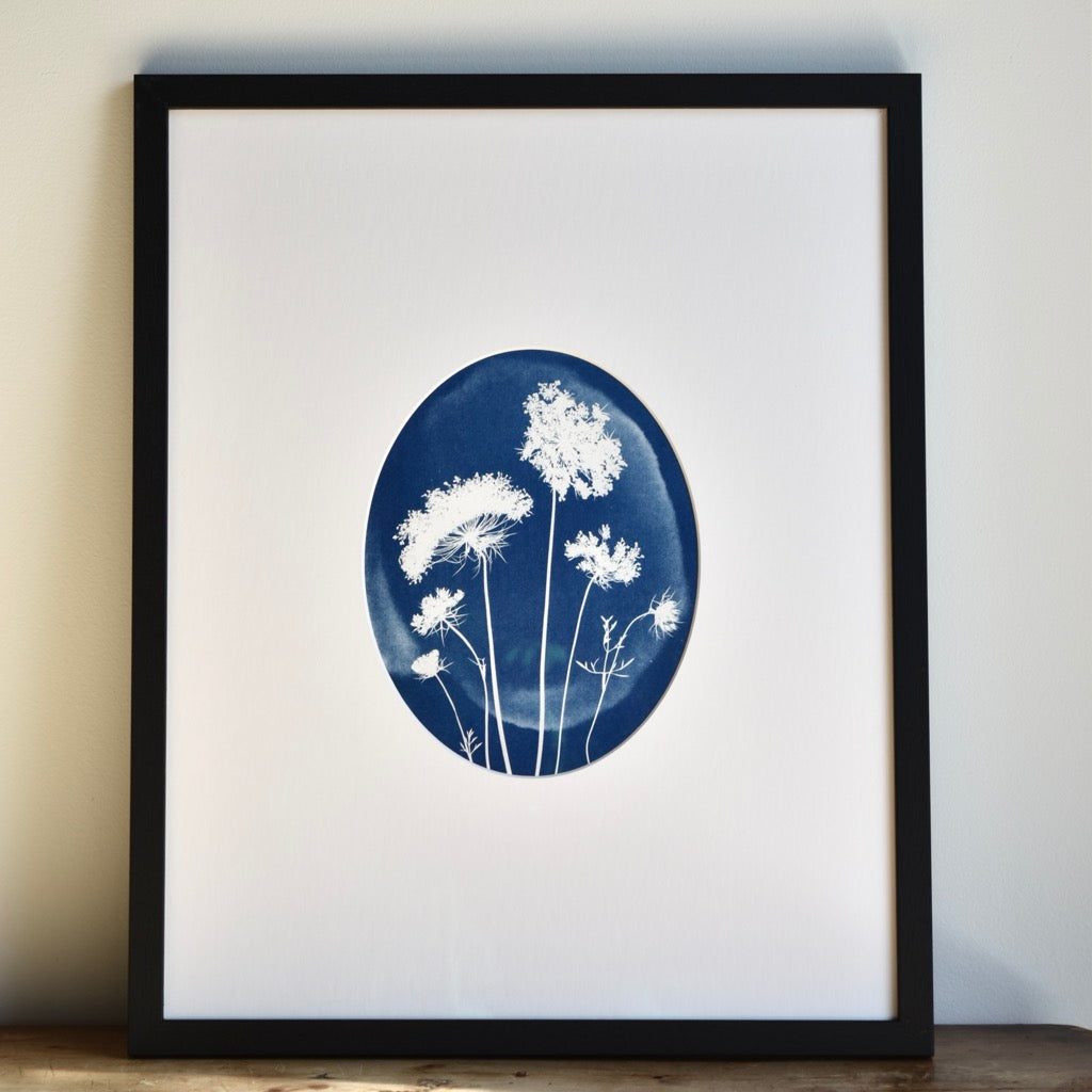 No. 1114014 Queen Anne's Lace by Chelsea Petaja