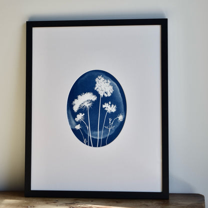 No. 1114014 Queen Anne's Lace by Chelsea Petaja