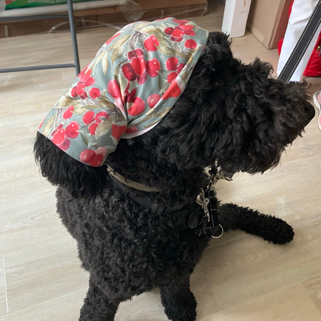 Dog Bandana in Red Cherry by Glass Muriel