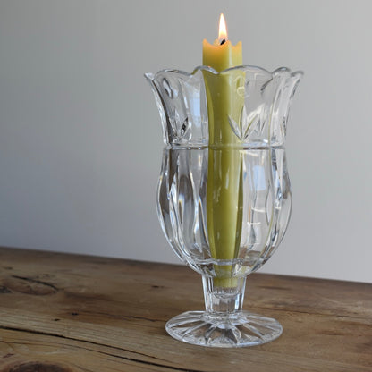 Tulip Garden 7" 1 Piece Open Hurricane/Vase by BLOCK