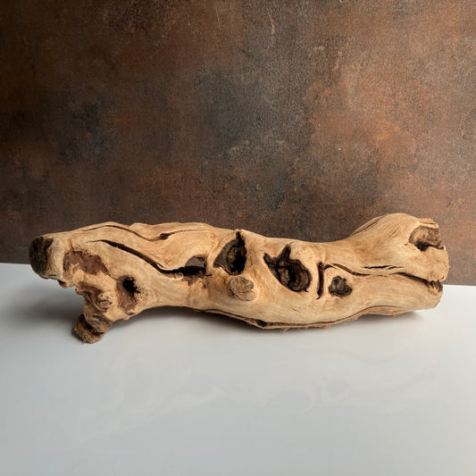 Tumbled Grapewood Pieces by Forever Green Art