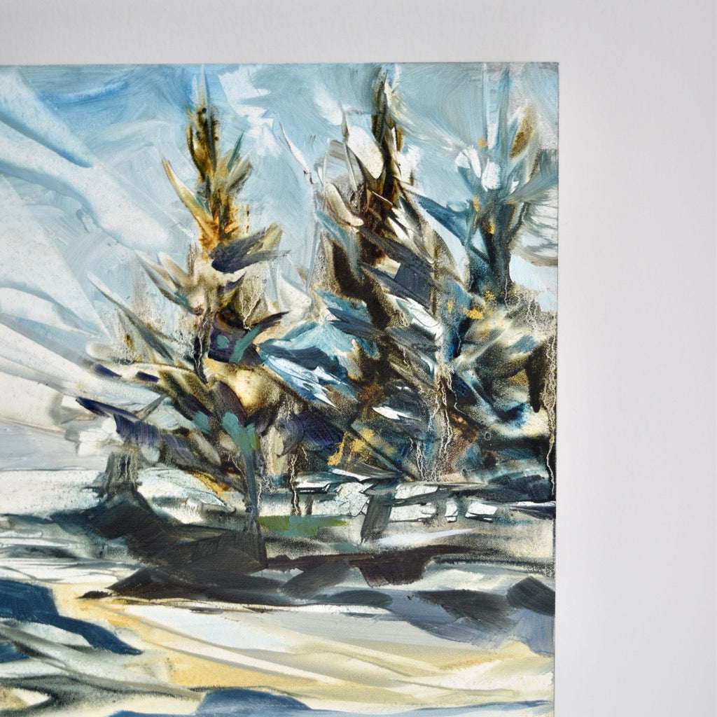 Light by Elizabeth Gartner Howe