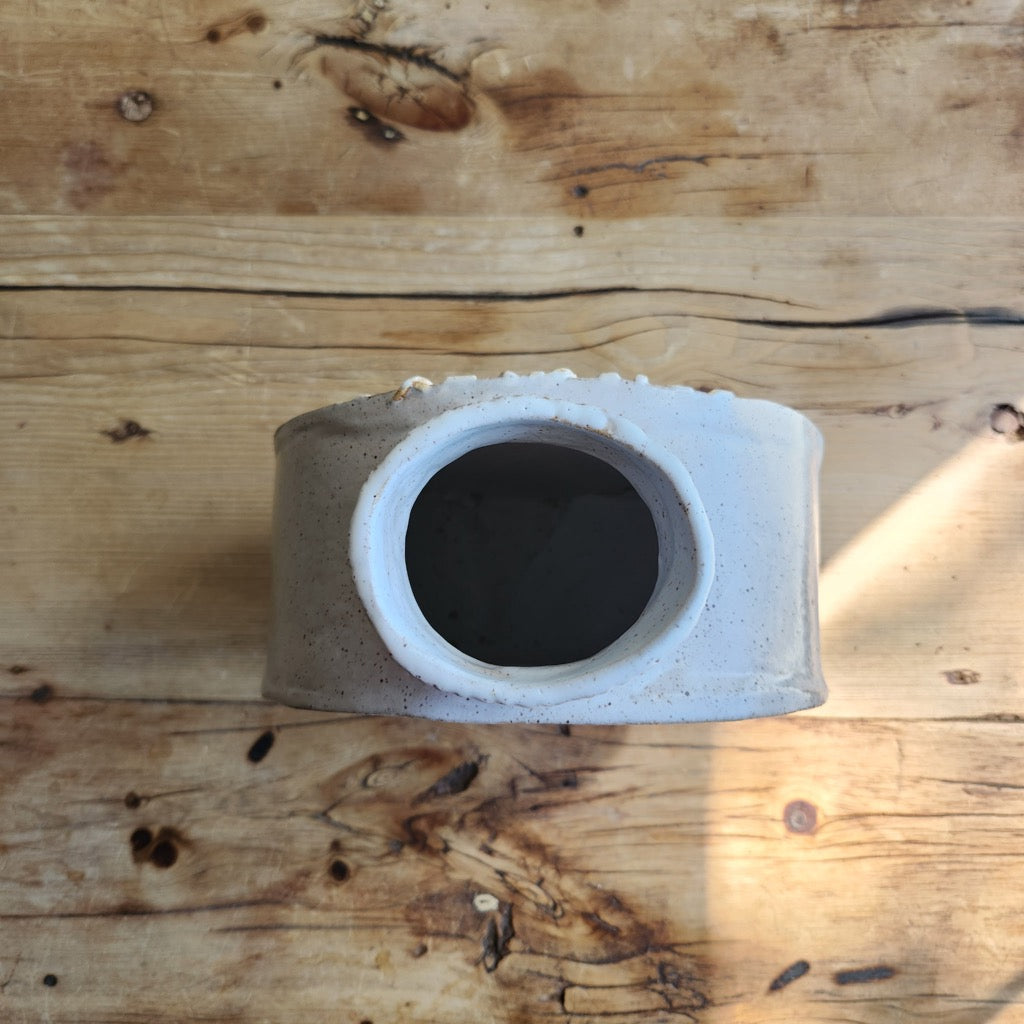 Circle Birch Vase by Jan Toscano