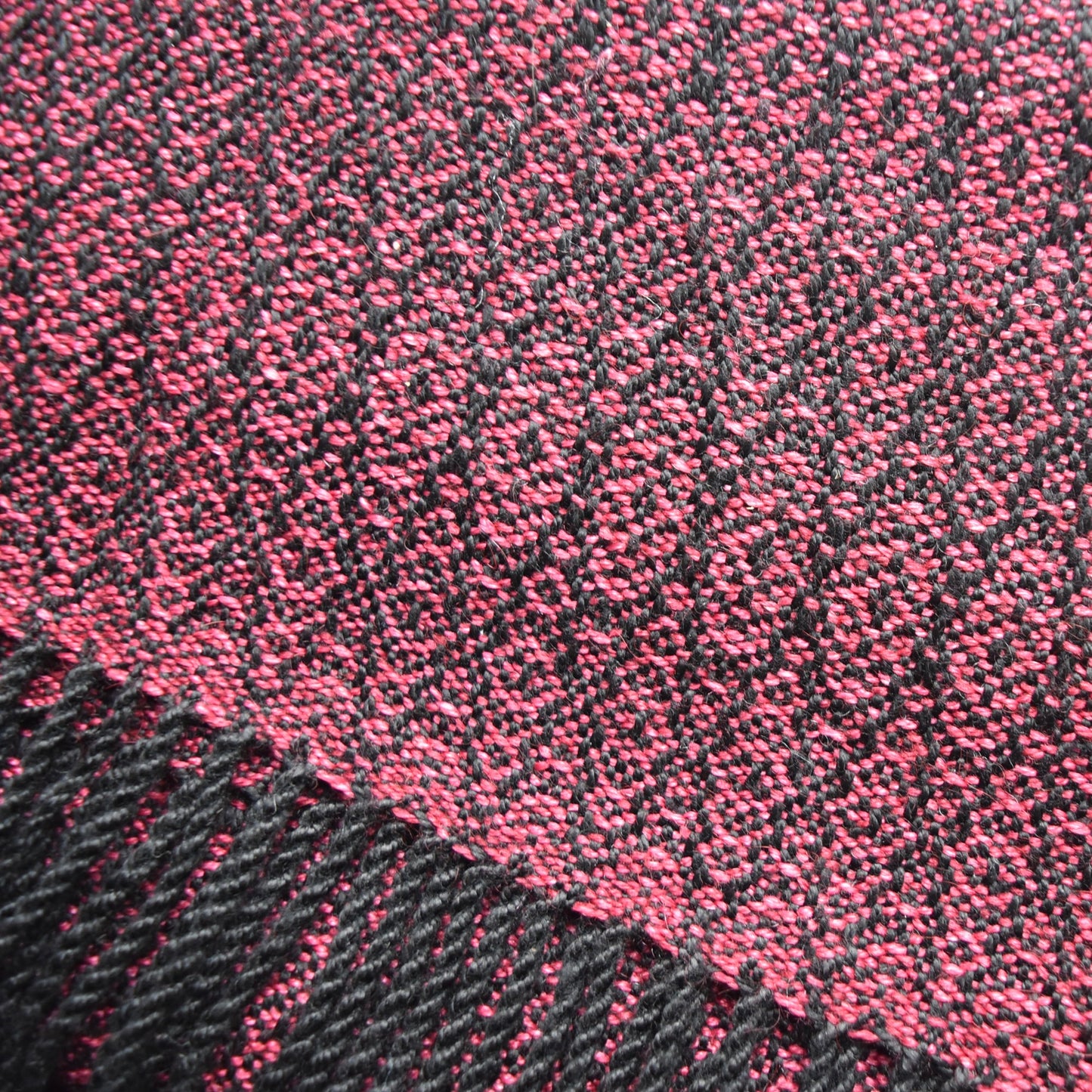 Pink and Black Scarf by Kristina Nichols