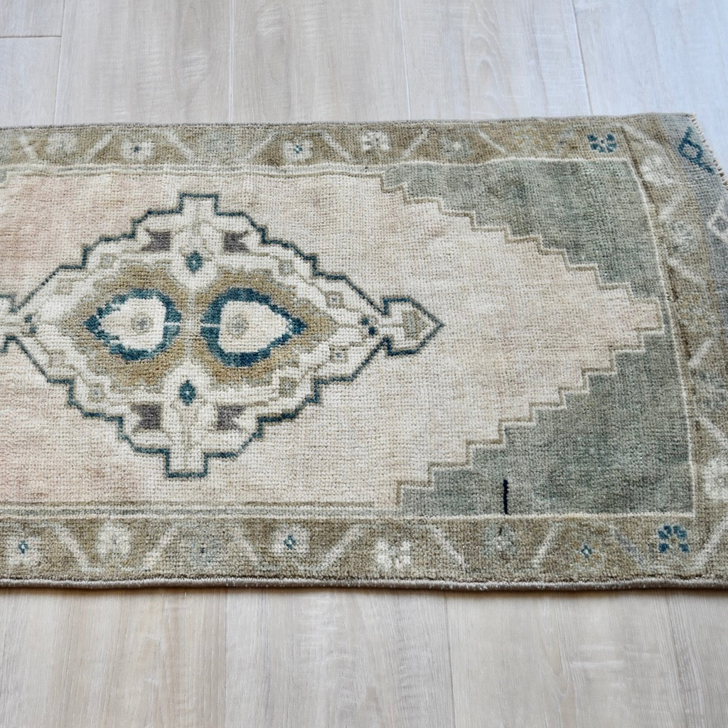Vintage Hand Knotted Rug in Blush, Green, Brown and Blue by Tara Dennis Design