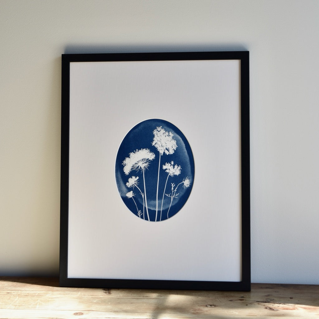 No. 1114014 Queen Anne's Lace by Chelsea Petaja
