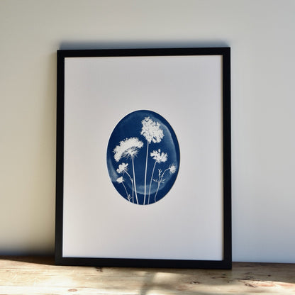 No. 1114014 Queen Anne's Lace by Chelsea Petaja