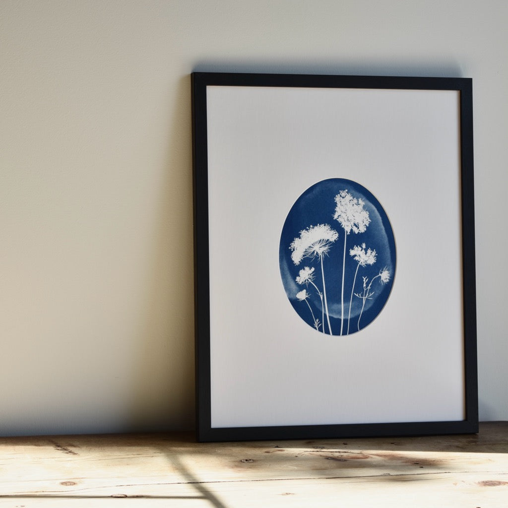 No. 1114014 Queen Anne's Lace by Chelsea Petaja