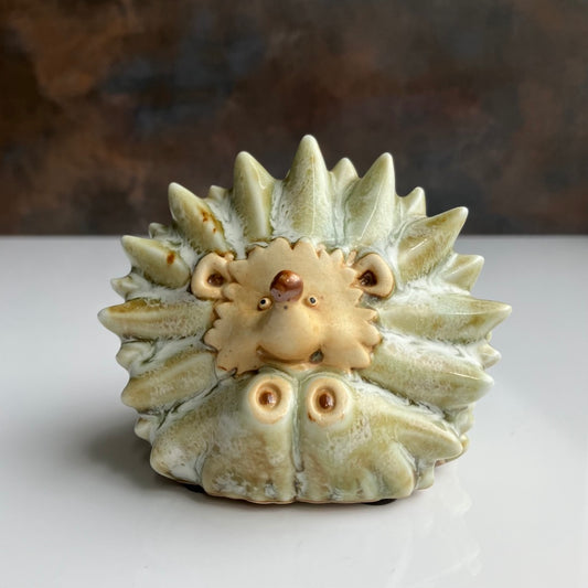 Hedgehog